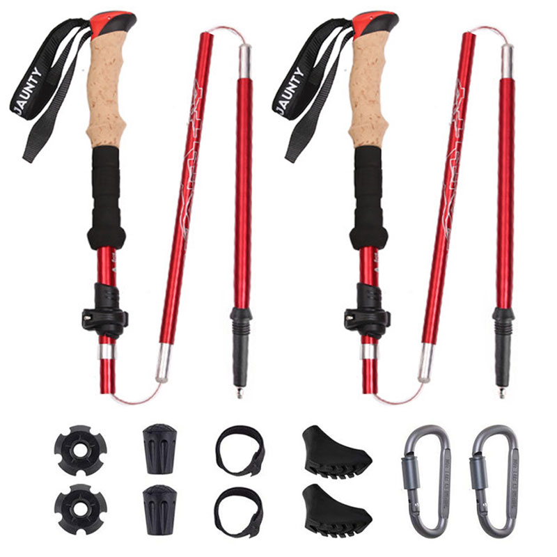 Κάμπινγκ Carbon Trekking Poles